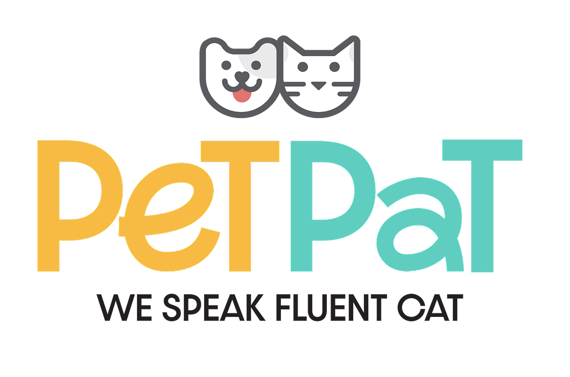 PetPat SG - Best Cat Grooming Services In Singapore