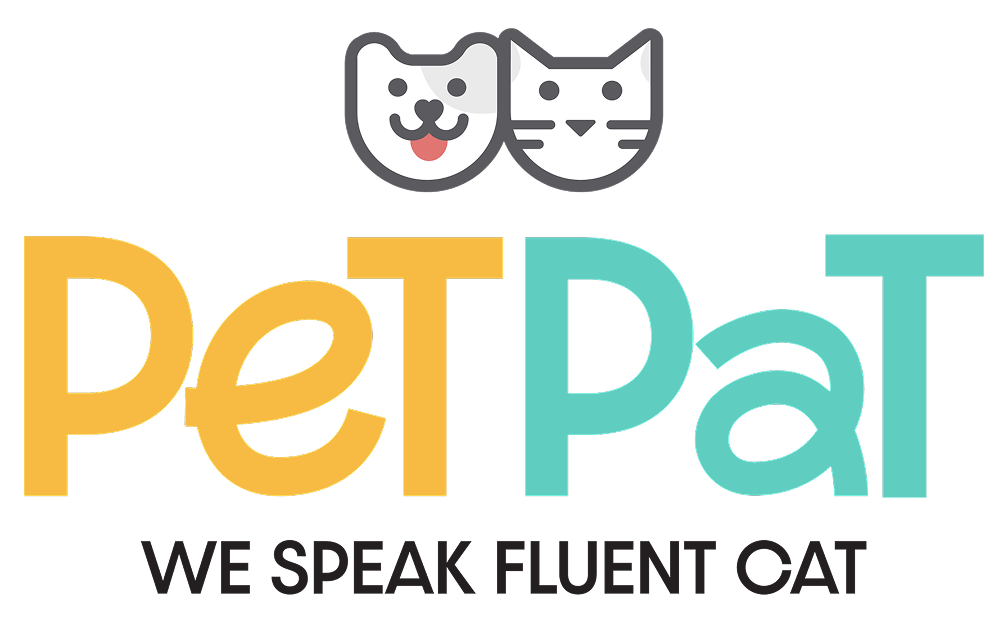 PetPat SG - Best Cat Grooming Services In Singapore
