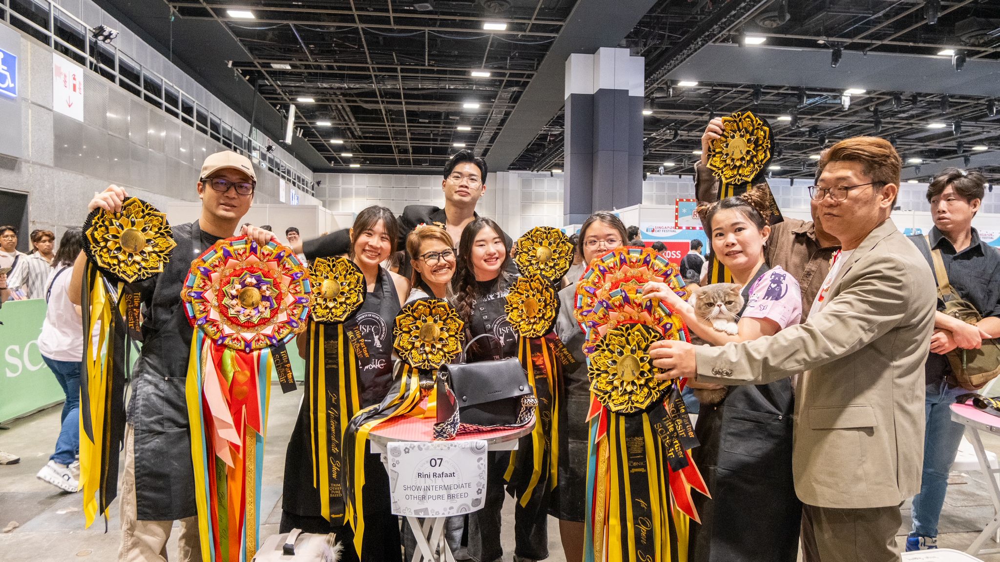 PetPat | Cat Grooming Singapore